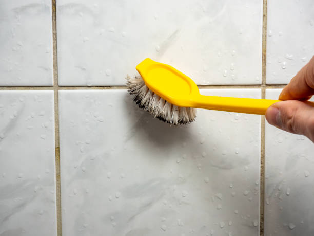 Best Mold Testing  in Lansdale, PA