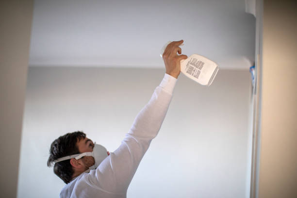Best Mold Cleaning Services  in Lansdale, PA