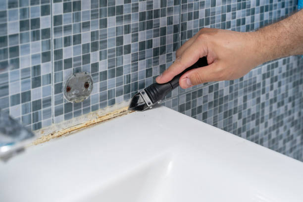 Best Certified Mold Removal  in Lansdale, PA
